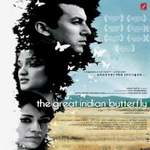The Great Indian Butterfly