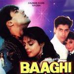 Baaghi - A Rebel For Love