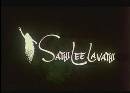 Sathi Leelavathi