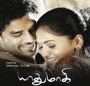 Yaadhumaagi